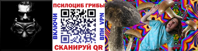 Купить  Суздаль  Псилоцибиновые грибы мицелий 