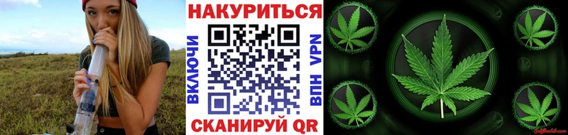 Купить где  Суздаль  Каннабис индика 